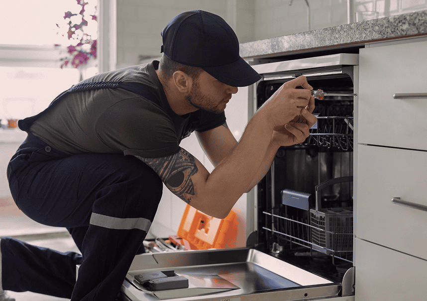 sadzives tehnikas remonts